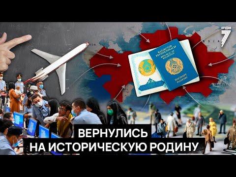 Видео: Как кандасы из Ирана встречают в Казахстане первую зиму