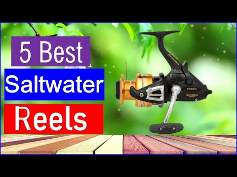 Видео: Лучшие катушки для морской рыбалки в 2025 году | Топ-5 лучших катушек для морской рыбалки — обзор