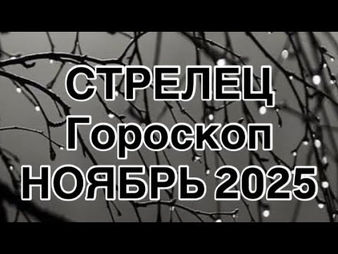 Видео: СТРЕЛЕЦ  - ГОРОСКОП  НА НОЯБРЬ  2025  |УДАЧА  |  ЛЮБОВЬ | РАБОТА | ФИНАНСЫ | ОТ NATALLIA MARKOWSKA