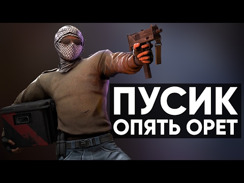 Видео: CS:GO Twitch Катка | Пусик опять орет #19