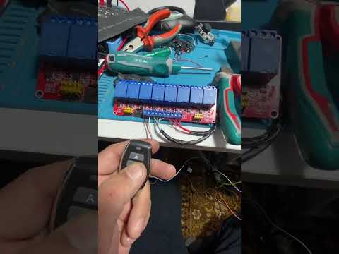 Видео: #дусяшым 