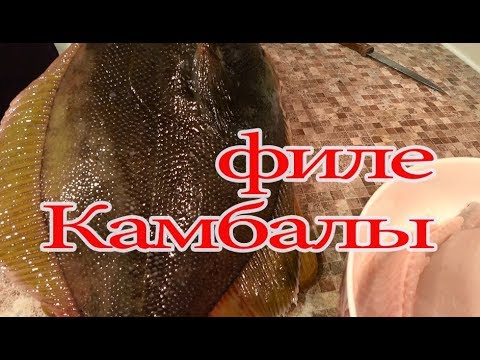 Видео: Как приготовить камбалу