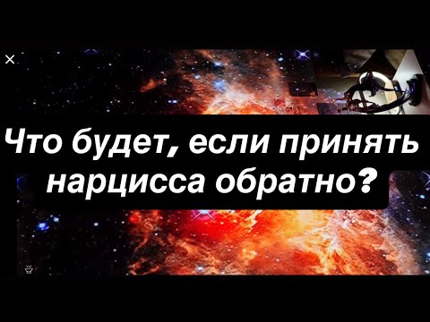 Видео: Что будет, если принять нарцисса обратно