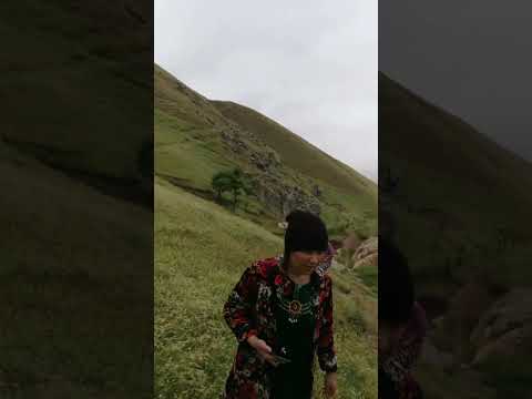 Видео: Лолабулоқ...19.05.24 г.
