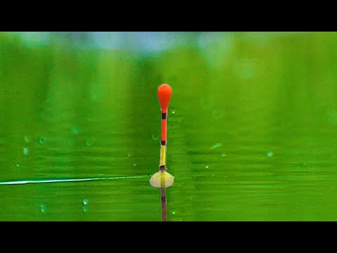 Видео: ОТКРЫЛ СЕЗОН РЫБАЛКИ НА ПОПЛАВОЧНУЮ УДОЧКУ! ИКОРНЫЕ КАРАСИ! Рыбалка на поплавок на карася с берега