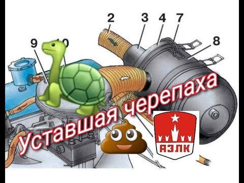 Видео: Уставшая черепаха 2141