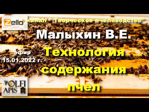 Видео: 15.01.22 г. Z-рация, канал "#Творческое_пчеловодство" #Малыхин В.Е. #Технология_содержания_пчел