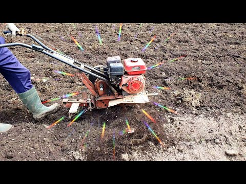 Видео: Какой мотоблок лучше культивирует Brait или Каскад?