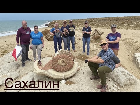 Видео: КАК Найти ОКАМЕНЕЛОСТИ? | Аммониты На Сахалине