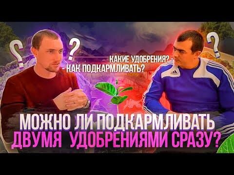 Видео: Можно ли вносить удобрения в корень и по листу одновременно?