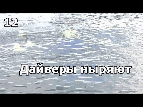 Видео: Дайвер и инструктор по дайвингу погружаются в воду Телецкого озера. Влог 12