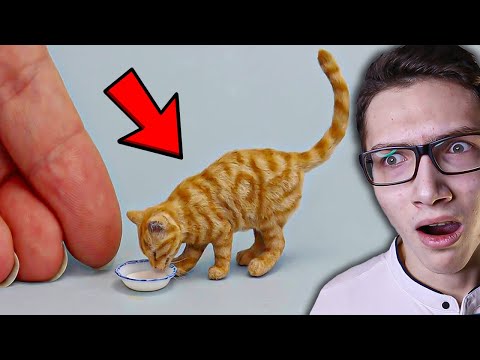 Видео: НИКОГДА НЕ СМОТРИ ВИДЕО ПРО КОТИКОВ в 3 ЧАСА НОЧИ 😱 СМЕШНЫЕ КОТЫ в ТикТок! *смешные приколы*