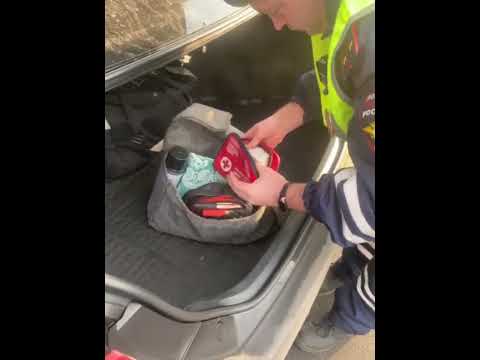 Видео: Что пытается найти ДПС ? #ДПС ГИБДД Ярославская область/досмотр ТС/