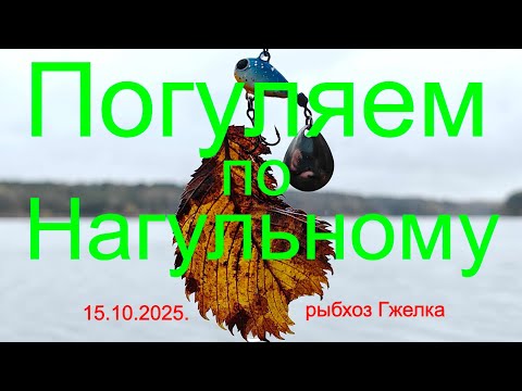 Видео: Погуляем по Нагульному. 15.10.2025. Рыбхоз Гжелка. Рыбалка в Подмосковье.