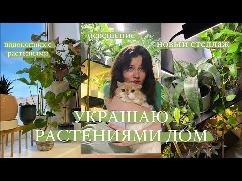 Видео: Размещаю растения в интерьере || новый стеллаж, освещение, полки для растений | обзор стеллажа