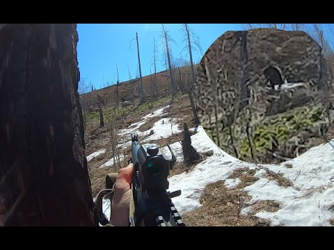 Видео: Удачный выстрел. Охота на Сахалине 3.