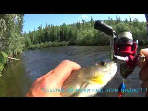 Видео: Рыбалка на крупного хариуса в Восточной Сибири в июле !!!
