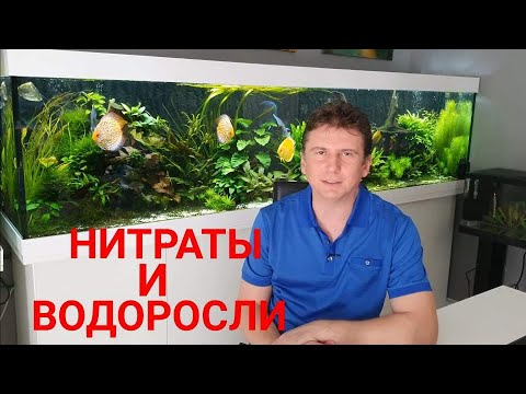Видео: Нитраты и водоросли в аквариуме. Карантин. Будни аквариумиста. Аквариум 250×60×50 на 750 литров.Ч 39