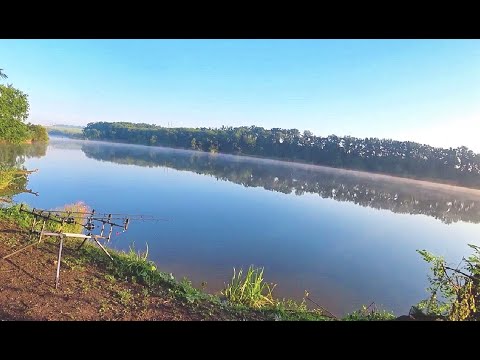 Видео: Нове місце на старій водоймі. Лов Толстолобика на технопланктон.