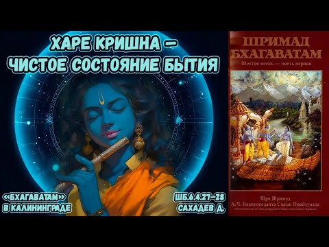 Видео: Харе Кришна — чистое состояние бытия. Сахадев д. ШБ.6.4.27–28