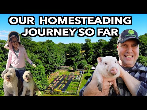 Видео: Все, что мы сделали — первые три года ведения домашнего хозяйства