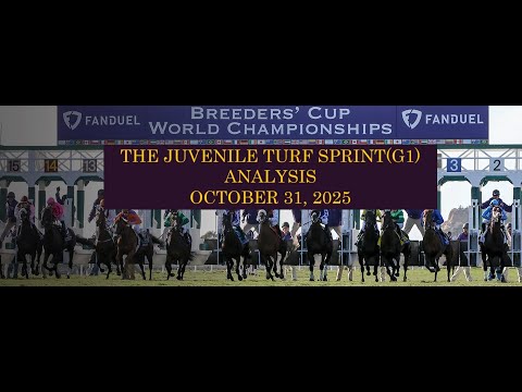 Видео: Анализ результатов Кубка заводчиков среди ювенильных спринтов на газоне G1, 31 октября 2025 г.