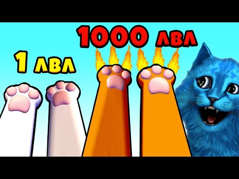 Видео: 😺 ЭВОЛЮЦИЯ КОШКИ Максимальный УРОВЕНЬ Cat Simulator Симулятор Кота КОТЁНОК ЛАЙК