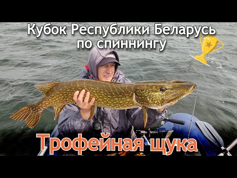 Видео: Ловля трофейной щуки | Соревнование по спиннингу ЧРБ🏆