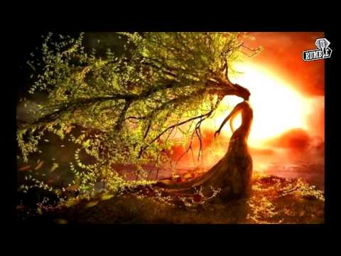 Видео: Теренс Маккена - Новизна