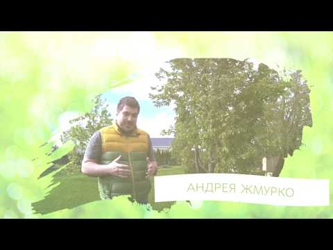 Видео: 500 тысяч за газон на ветер!? Смотри быстрее тут почему!