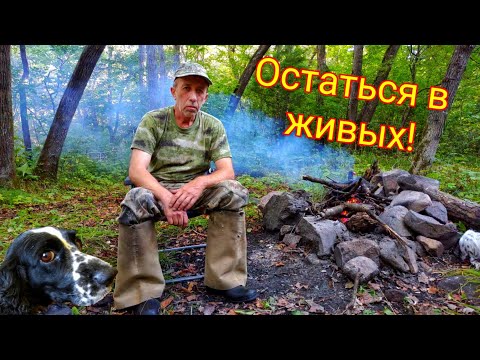 Видео: ОПАСНОЕ ПУТЕШЕСТВИЕ К БЕНЕВСКИМ ЕЛАМОВСКИМ ВОДОПАДАМ. Водопады приморья.