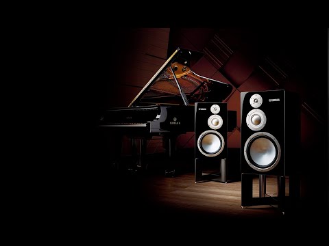Видео: Сравнение Yamaha NS-5000 (1.000.000 руб) с Yamaha NS-1000M