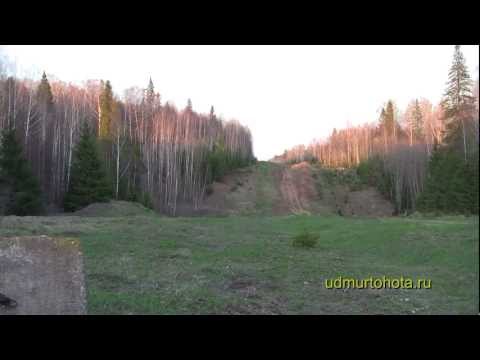 Видео: Храбрый глухарь 4 (Brave capercaillie 4)