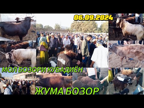 Видео: МОЛ БОЗОРИ КАБАДЁН МАРХАМАТ