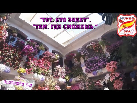 Видео: 196. "Тот, кто знает; Там, где сможешь". Уровень В1-В2.