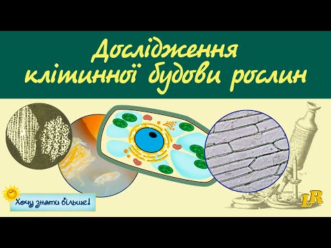 Видео: Дослідження клітинної будови рослин