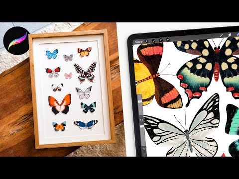 Видео: Как нарисовать коллекцию акварельных бабочек 🦋 Советы и рекомендации Procreate для начинающих