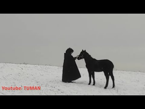 Видео: Дружба Жеребенка и Человека . Лахиб,и Туман.