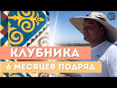 Видео: НЕ САЖАЙ клубнику, пока не услышишь эти ТОП-советы агронома