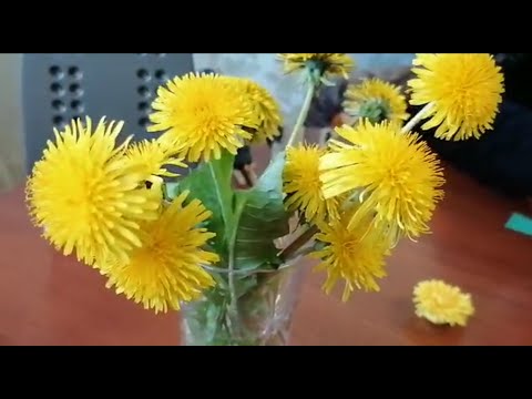 Видео: Мастер-класс по изготовлению Цветка «Одуванчика» из фоамирана