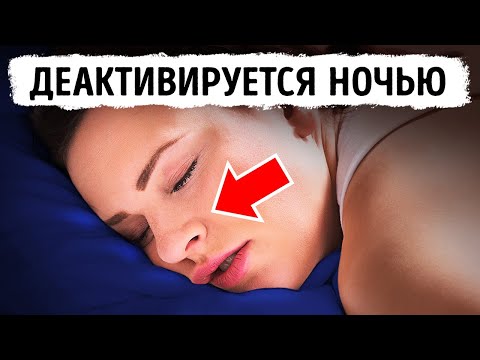 Видео: Удивительные факты о теле, которые помогут вам подготовиться к биологическому тесту в мгновение ока!
