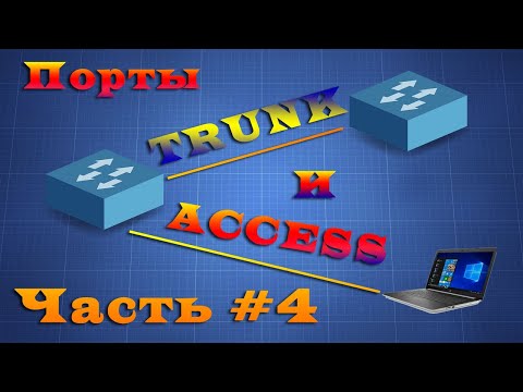 Видео: Локальные сети. Trunk и access порты