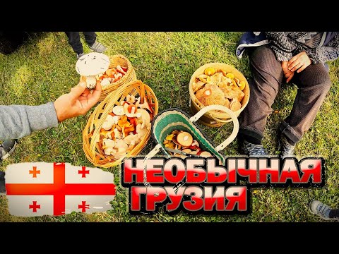 Видео: Пошли по грибы в горы! Мы сошли с ума?! Грузия которую вам никто не покажет!!!