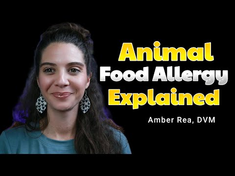 Видео: 🤯 РАЗОБЛАЧЕНО: Мифы об аллергии на корм для домашних животных