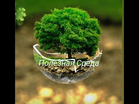 Видео: Болят суставы. Причины и решения.