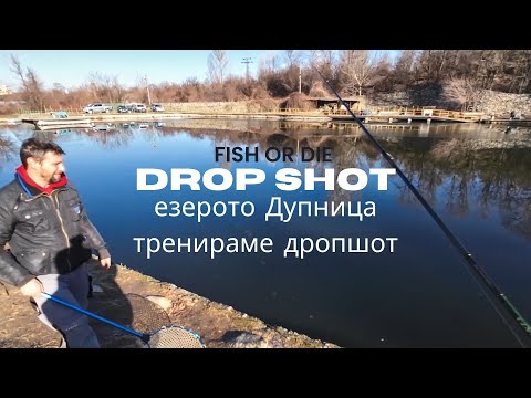 Видео: Пъстърва на дропшот Дупница - Dropshoting trout at Dupnica lake