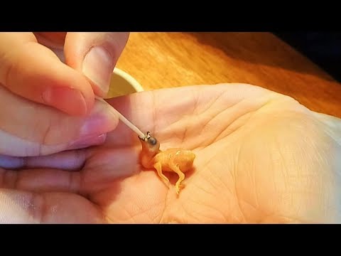 Видео: Когда оставила мужа с птенцом