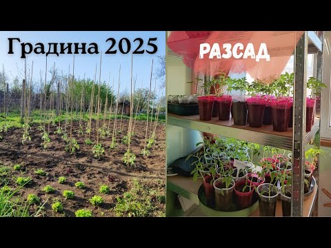 Видео: КАКВО ЩЕ ИМА В ГРАДИНАТА ТАЗИ ГОДИНА:  домати, лук , чесън, картофи , тиквички 🍅🧄🧅🥔🫑🥬
