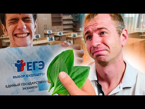Видео: Завтра ЕГЭ. ЧТО ДЕЛАТЬ?