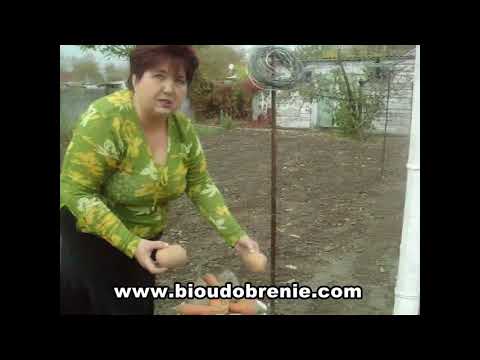 Видео: EKD ОТЗЫВЫ  Земля впервые дала хороший урожай - разные культуры.